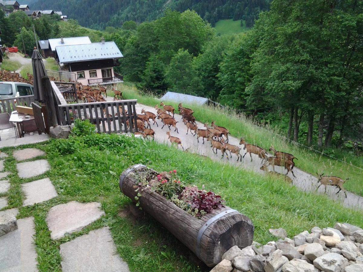Le Refuge Des Marmottes Βίλα Arêches Εξωτερικό φωτογραφία